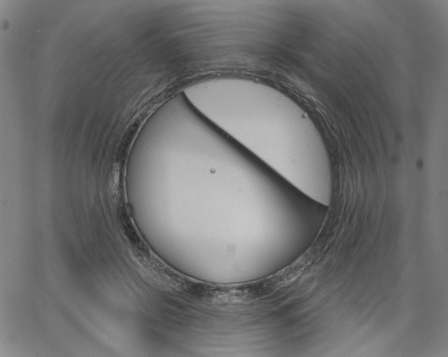 X0000064740550200602100936