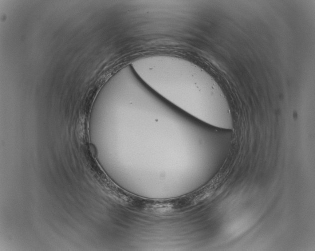 X0000064740554200602100936