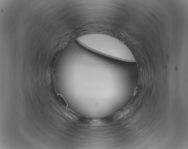 X0000064740562200602100936