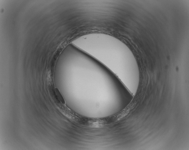 X0000064740564200602100936