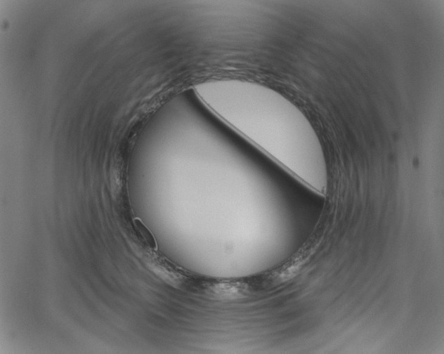 X0000064740566200602100936