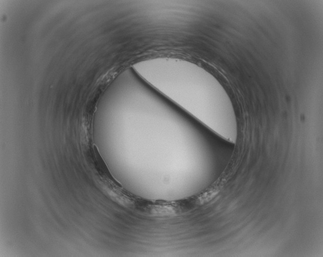 X0000064740572200602100936