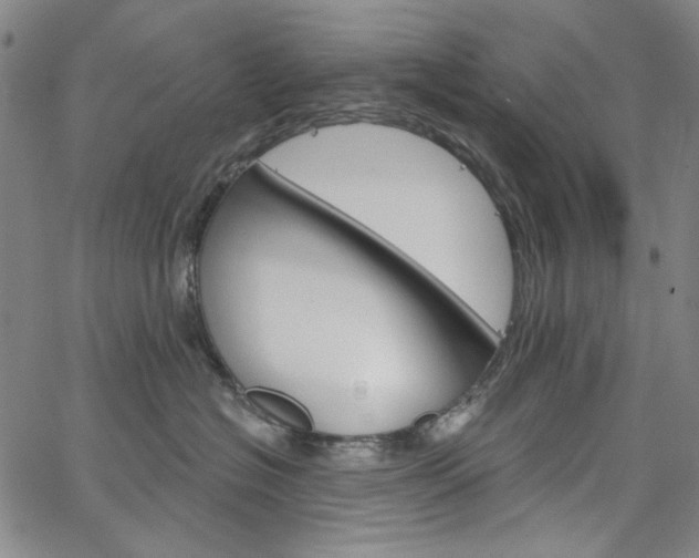 X0000064740574200602100936