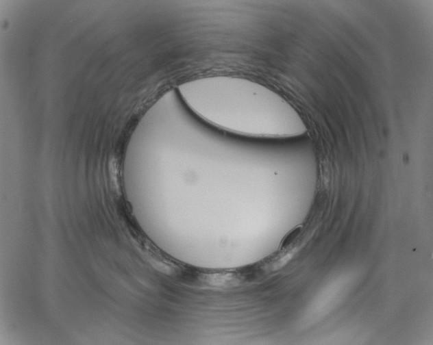 X0000064740575200602100936