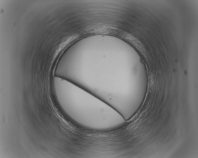 X0000064740578200602100935