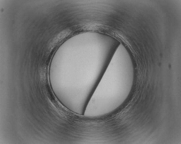 X0000064740586200602100935