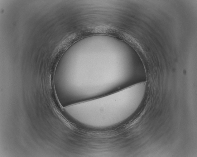 X0000064740589200602100935