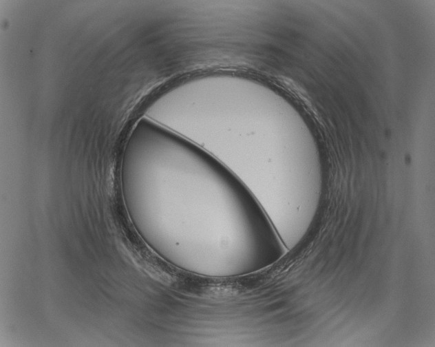 X0000064740596200602100935