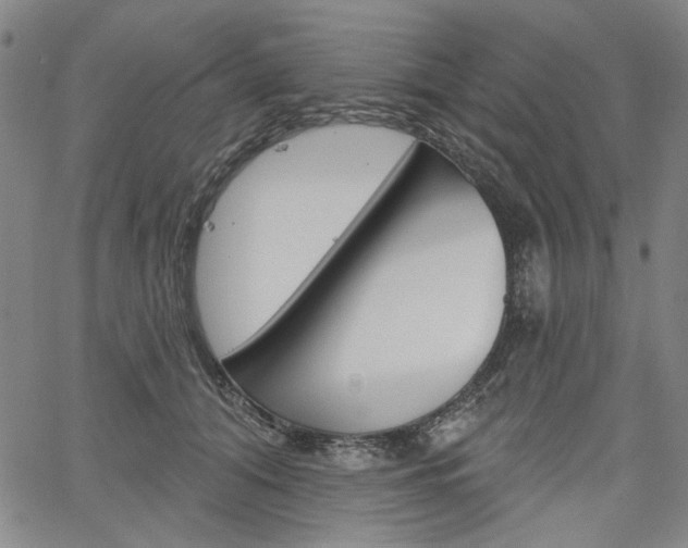 X0000064740608200602100935