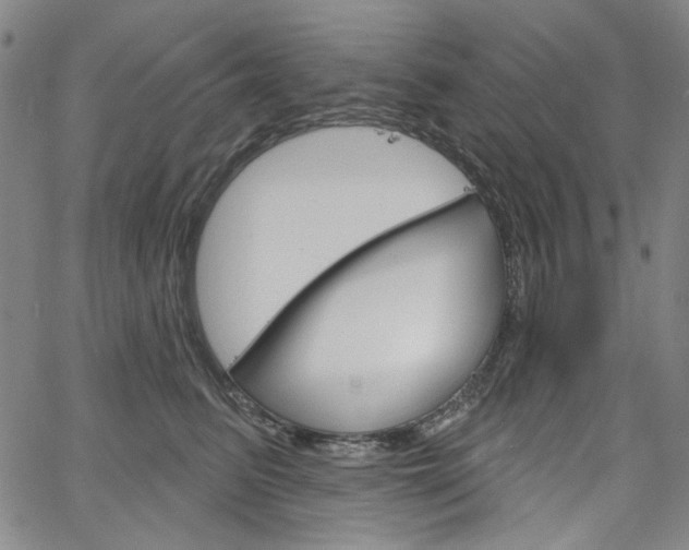 X0000064740615200602100935