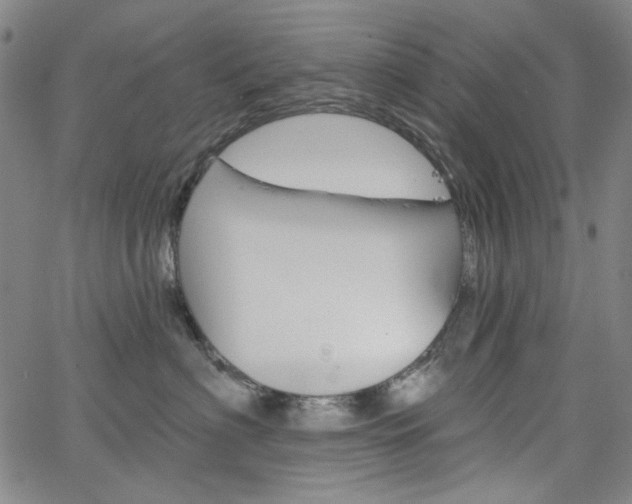 X0000064740622200602100935