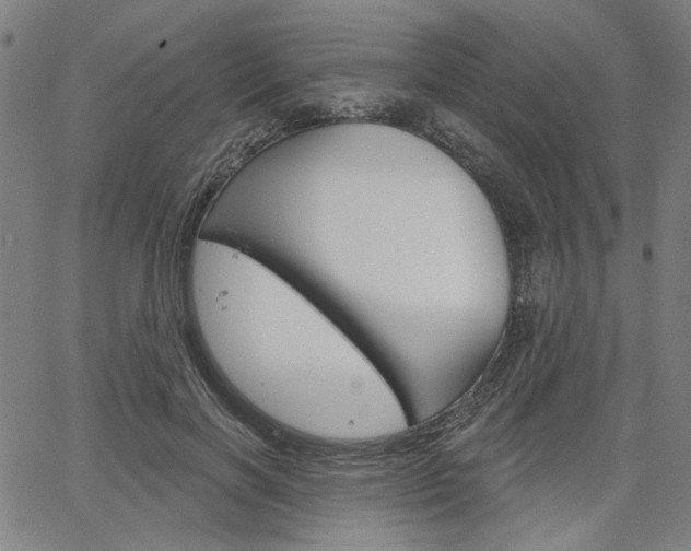 X0000064740646200602100934