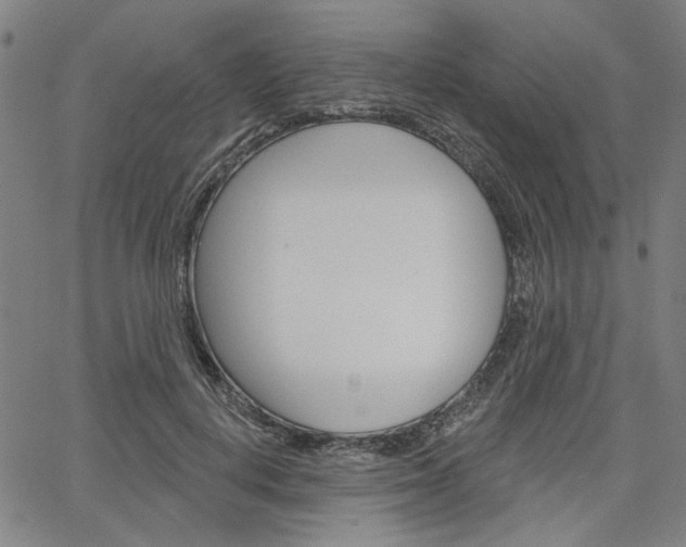 X0000064740648200602100934