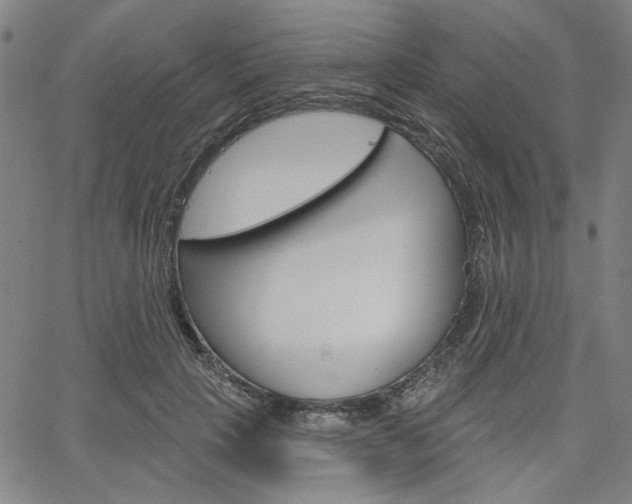 X0000064740649200602100934