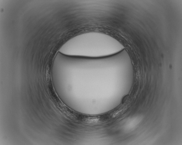 X0000064740651200602100934