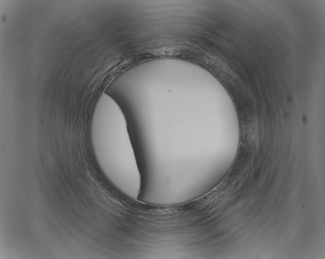 X0000064740652200602100934