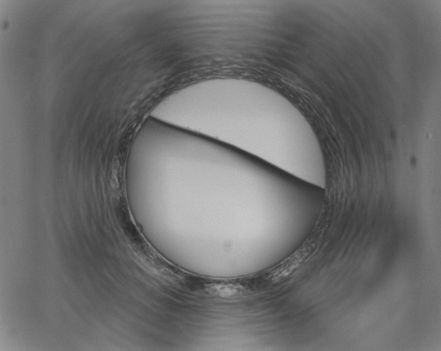 X0000064740654200602100934