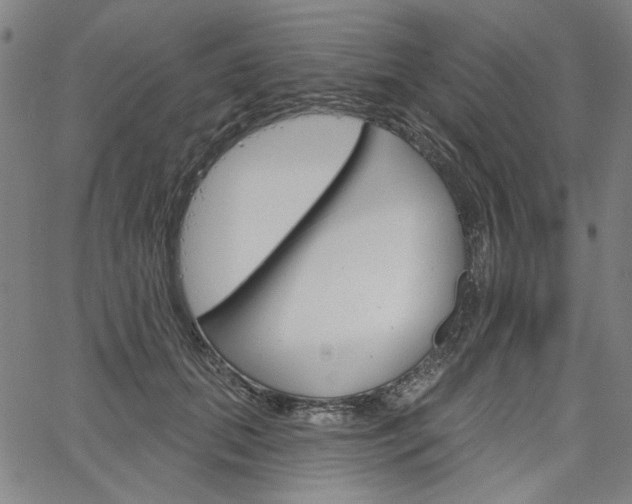 X0000064740655200602100934
