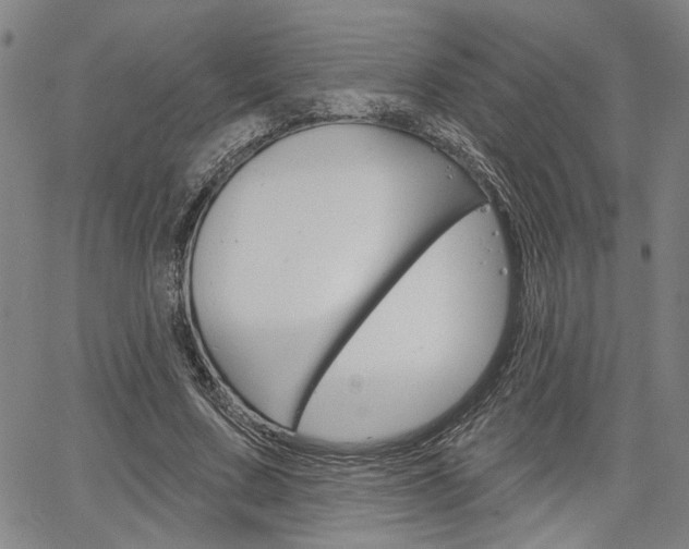 X0000064740683200602100934