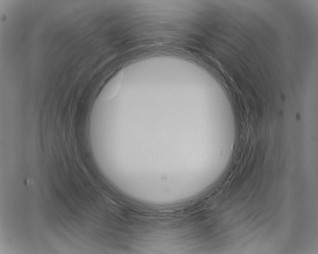 X0000064740701200602100933