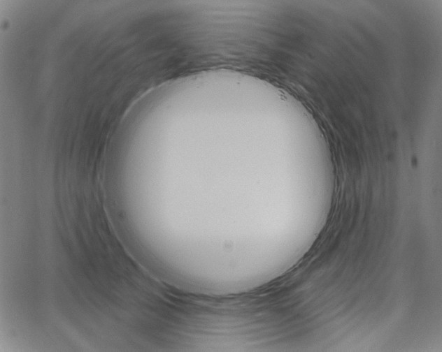 X0000064740705200602100933