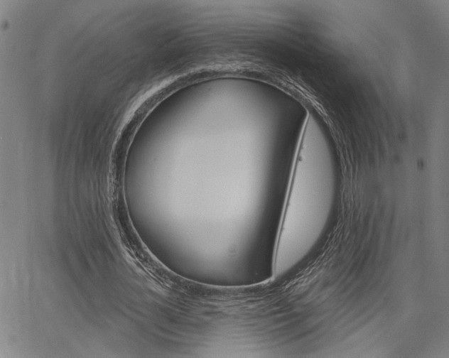 X0000064740724200602100932