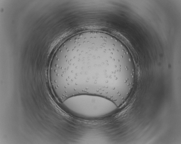 X0000064740725200602100932