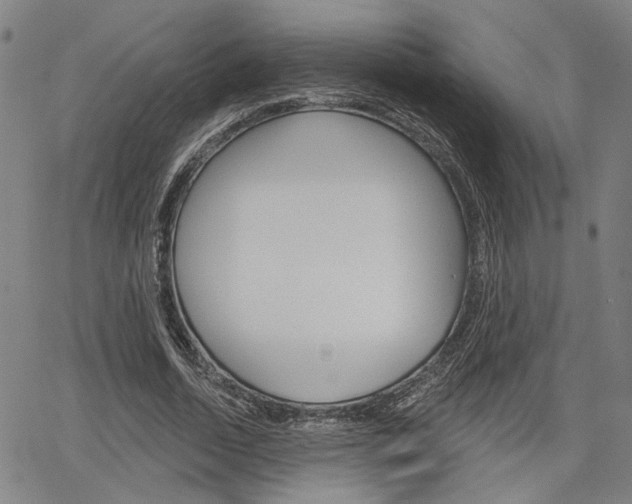 X0000064740730200602100932