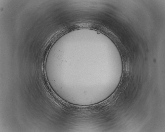 X0000064740733200602100933