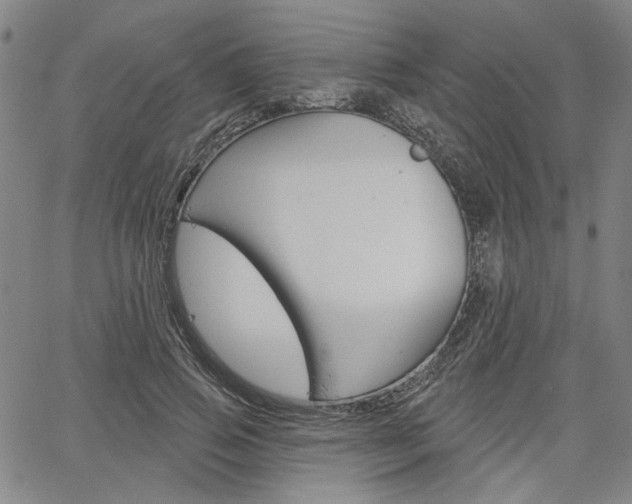 X0000064740741200602100933