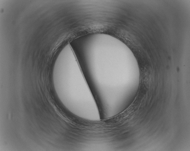 X0000064740742200602100933