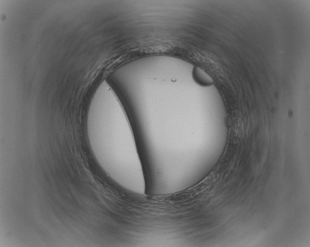 X0000064740743200602100933