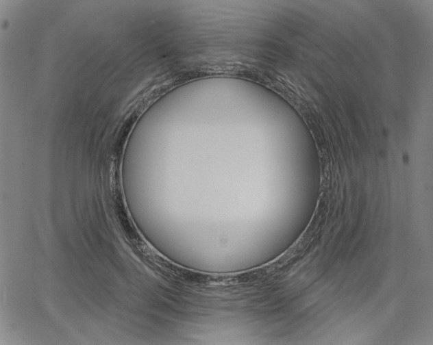 X0000064740744200602100933
