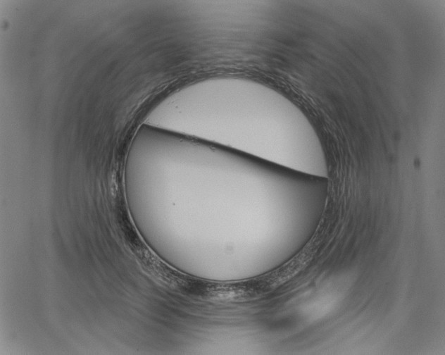 X0000064740746200602100933