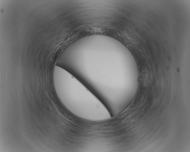 X0000064740747200602100933