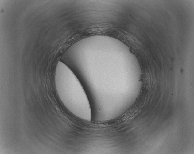 X0000064740751200602100933