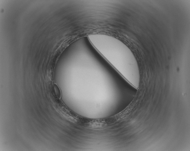 X0000064740756200602100933