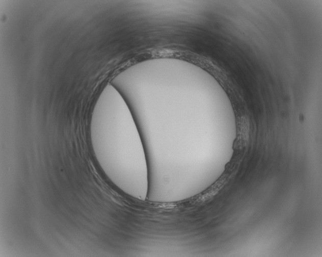 X0000064740761200602100933