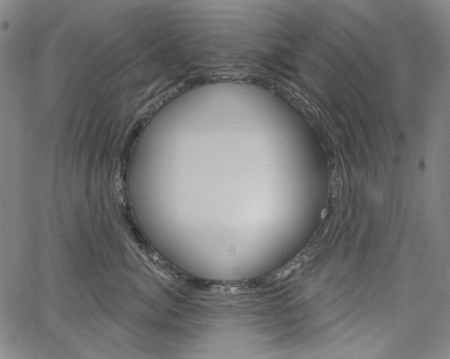 X0000064740764200602100933