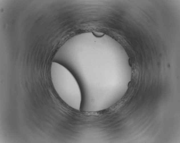 X0000064740767200602100933