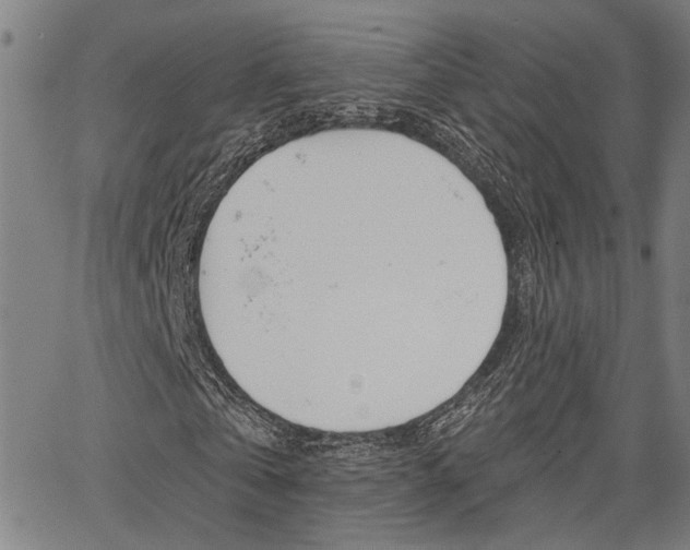 X0000064740769200602100932