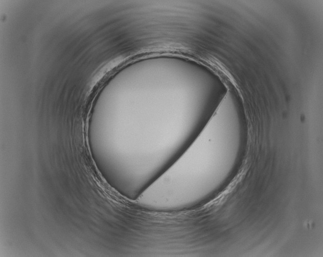 X0000064740781200602100932