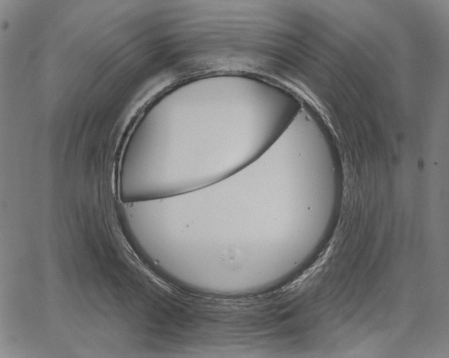 X0000064740790200602100932