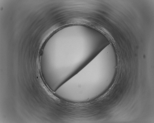 X0000064740796200602100932