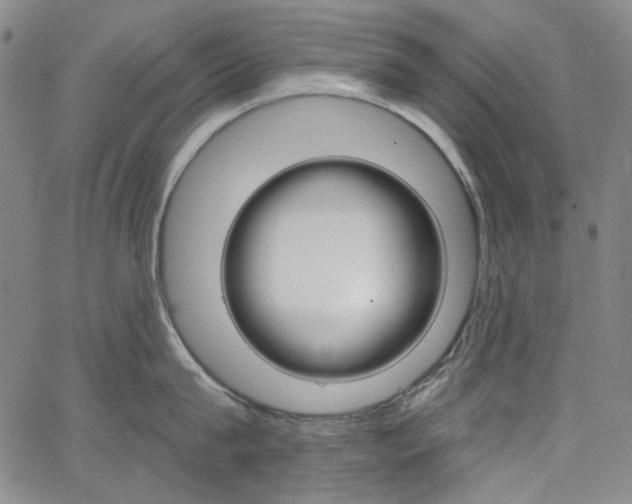 X0000064740815200602100932