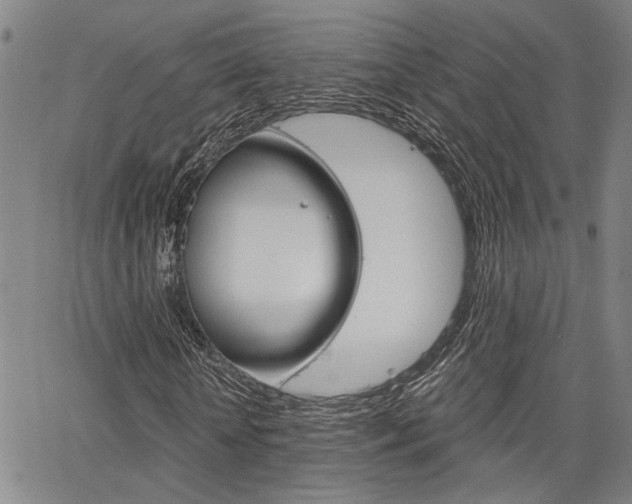 X0000064740818200602100931