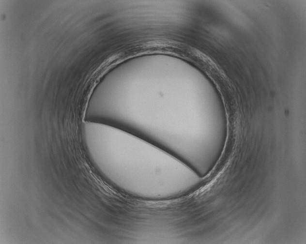 X0000064740825200602100931