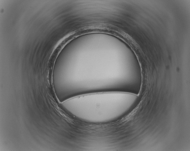 X0000064740830200602100931