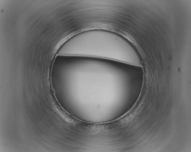 X0000064740842200602100931