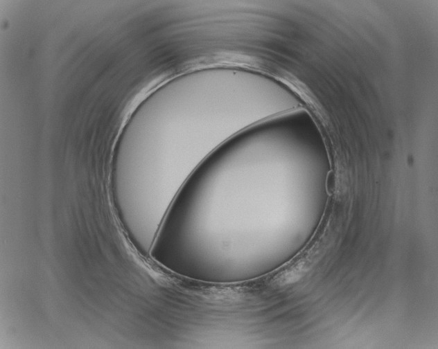 X0000064740850200602100931
